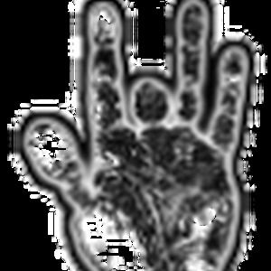 Meet your Posher, Adam